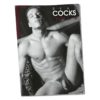 Pin-up Kalender HC Real Cocks - 10er Bündel