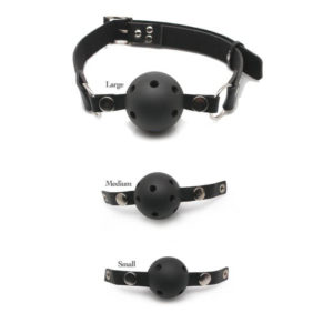 Ball Gag Training System