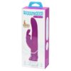 Power Motion Vibrator