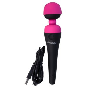 PalmPower Body Massager