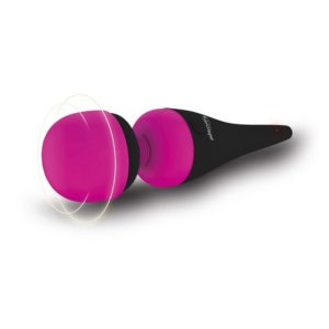 PalmPower Body Massager