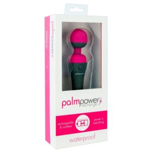 PalmPower Body Massager
