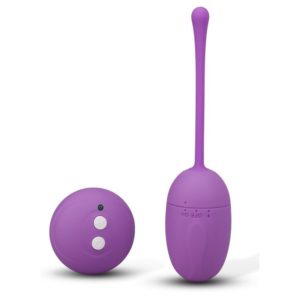 Remote Control Egg