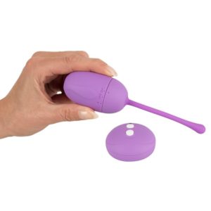 Remote Control Egg