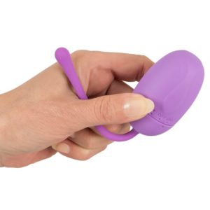 Remote Control Egg