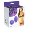 Remote Control Egg
