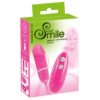 Vibro-Bullet mit Fernbedienung