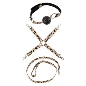 Master & Slave Erotikspiel