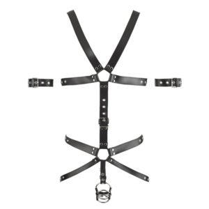 Herren Harness