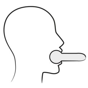 Leder Kopfmaske und Knebel