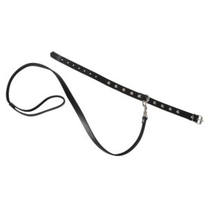 Halsfessel mit Leine