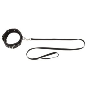 Halsfessel mit Leine