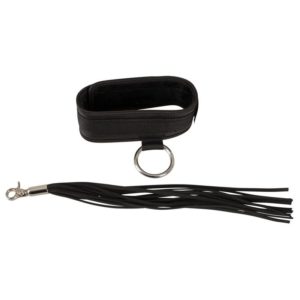 Halsband und Flogger