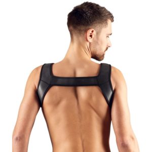 Harness